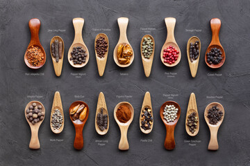 Peppers and ground peppers in wooden spoons on a dark cement table. Large collection of peppers from different countries of the world with titles. Aromatic spices for cooking.