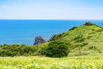 静岡県賀茂郡南伊豆町　ユウスゲ公園