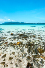 Clear water on the island,Bright blue sea and wooden boat The tourism