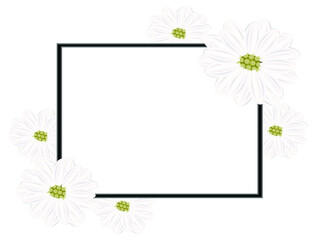 Floral frame with flowers chamomile.