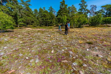 Children on a mountain forest plateau at an old ancient open burial ground with stones and plants in Sweden.
