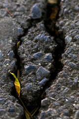 closeup crack asphalt road texture