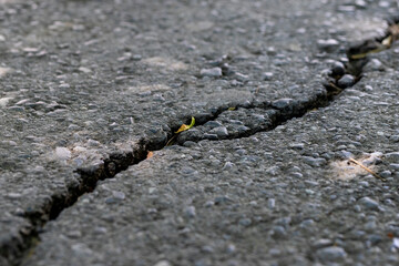 closeup crack asphalt road texture