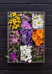 Edible flowers and herbs in a wooden box on a dark wooden board. Fresh plants collection for culinary and herbal medicine. Top view.