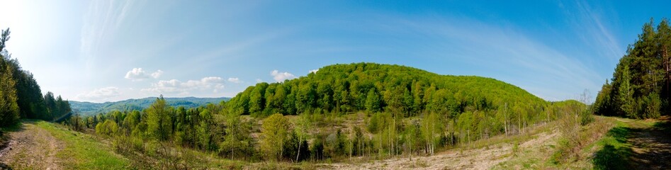 Fototapeta na wymiar Beautiful rural summer landscape with forest, blue sky and white clouds, panorama. spring landscape with panoramic views of meadow and mountains