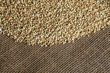 Green buckwheat groats are scattered on burlap. Selective focus. Concept - Healthy eating