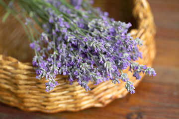 Lavender lies in a basket, a beautiful still life for creating wallpaper designs. Fragrant purple flowers in Provence style, web screensaver.