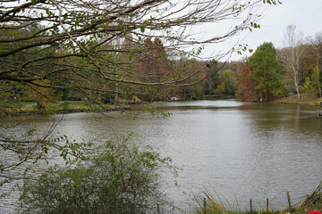 lake in autumn