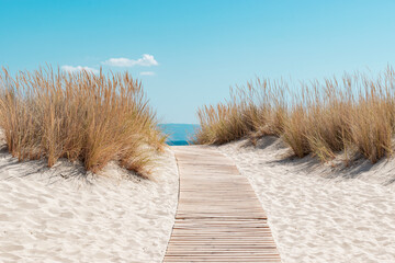 The path to the beach, the perfect destination during summer.