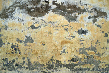 Panoramic interior background with texture of old painted concrete wall with peeling plaster.