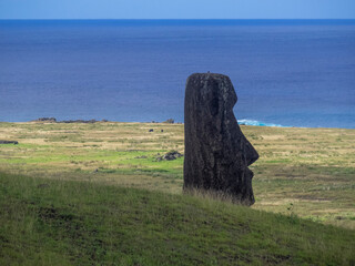 moai in eastern island