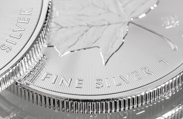 Macro Close up of a Silver Canadian Maple Leaf Bullion Coin