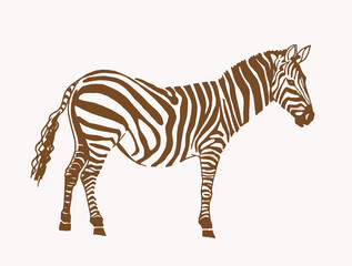 Fototapeta na wymiar Vector vintage illustration of zebra , sepia background, savanna animal