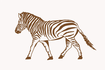 Vector vintage illustration of zebra , sepia background, savanna animal © Vita