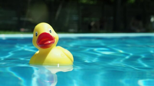 Rubber duck floating on water surface