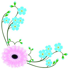 Corner with blue forget me not flowers and gerbera.