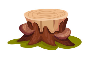 Wooden Stump with Mushrooms Growing on It as Forest Element Vector Illustration