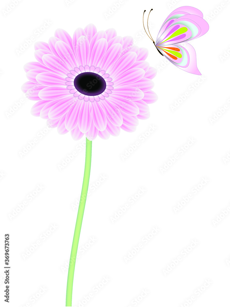 Canvas Prints gerbera with a butterfly.