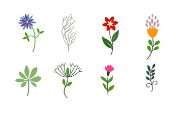 set of colorful flowers on white background.