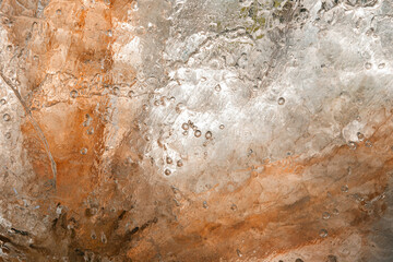 Flowers and leaves in the ice, frozen floral