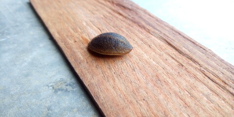 close up of a wooden spoon on a wooden background