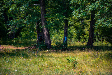 paintball game in the forest