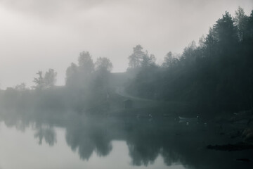 lake and trees in fog