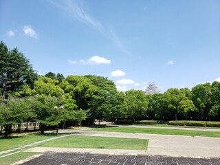 緑と公園