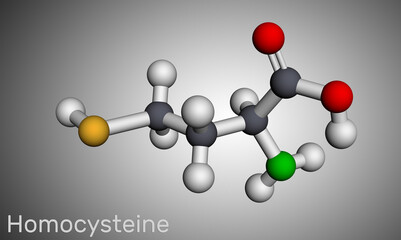 Homocysteine biomarker molecule. It is a sulfur-containing non-proteinogenic amino acid