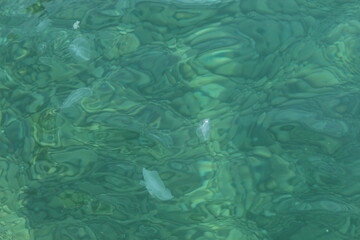 Sea water. Green sea water