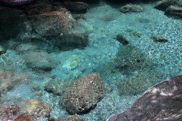 安居渓谷　透き通る青　夏（高知県）