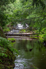 Fototapeta na wymiar Hiding Upstream