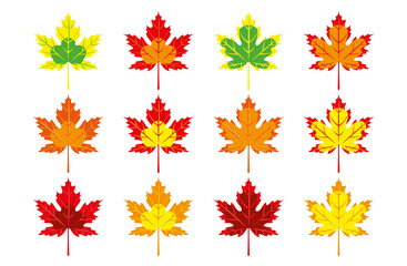 Set of multicolored autumn maple leaves. Vector illustration