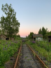 Fototapeta na wymiar Railway in the village, evening sky, wild flowers