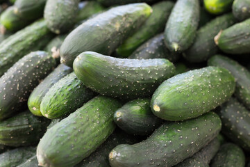 cucumbers on market counter in wicker basket