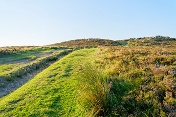 Naklejka premium Steep slope up to the top of Higger Tor in the Derbyshire Peak District