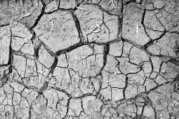 dry cracked gray earth