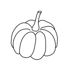 Pumpkin or squash in doodle style. Isolated outline. Hand drawn vector illustration in black ink on white background. Great for coloring books. Farming garden theme.
