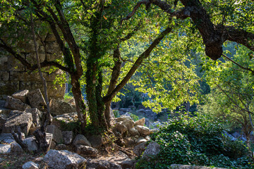 Ancient ruins at Termessos or Thermessos in the Taurus Mountains, Antalya province, Turkey. Termessos.