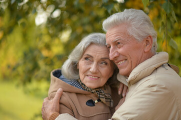 Beautiful senior couple hugging in the park