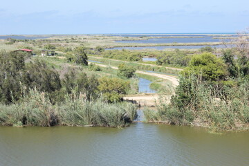 paisajes del delta del ebro