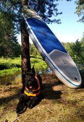 SUP touring riesenschnauzer