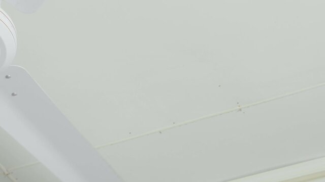 Close-up of blades of ceiling fan slowly spinning