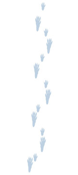 Rat tracks in snow. Typical footprints of rattus. Isolated icon vector illustration on white background.
