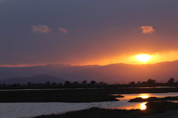 flamencos y pajaros volando al atardecer