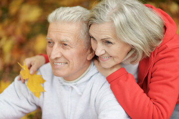 Portrait of smiling senior couple in autumn park