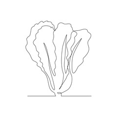 continuous line drawing of mustard green cabbage leaf. fresh vegetable single line art concept. vector illustration