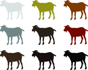 farm goat animals collection vector