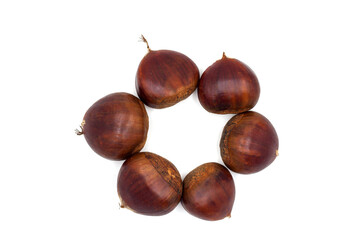 Chestnuts or Horse chestnuts, Arrange In Star Shape isolated on white background.