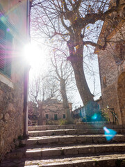 cartoixa valldemossa